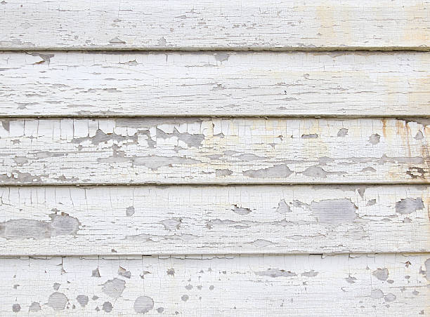 Best Property Management Cleanouts  in Canton, OH